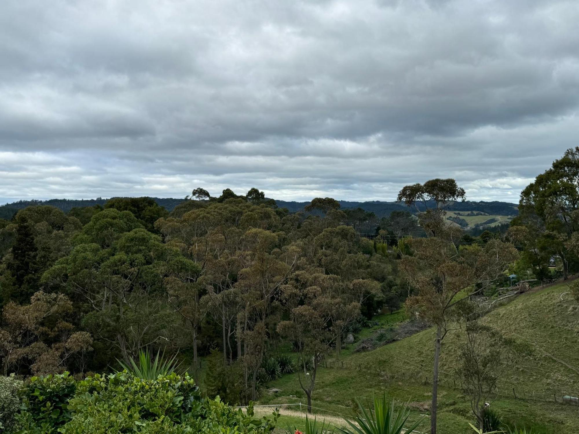 Private Cabin Close To The City Centre Whangarei Exteriör bild
