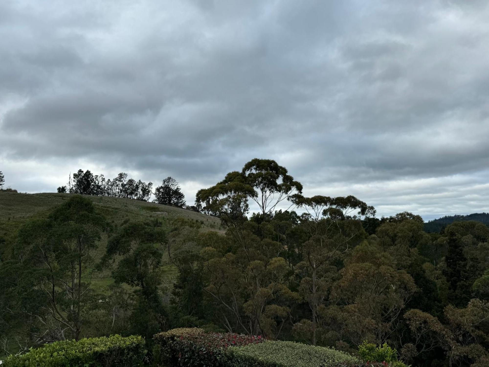 Private Cabin Close To The City Centre Whangarei Exteriör bild