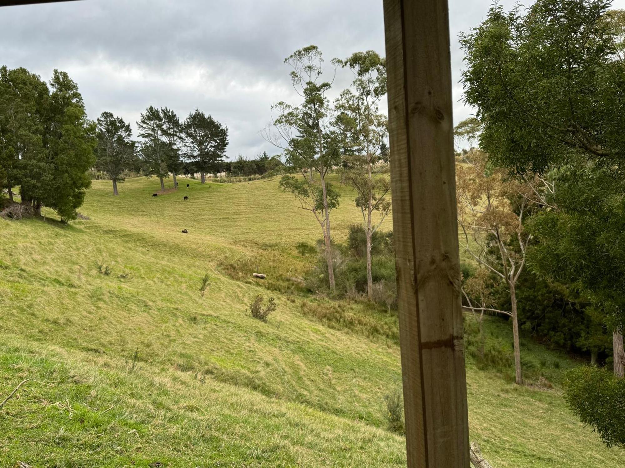Private Cabin Close To The City Centre Whangarei Exteriör bild