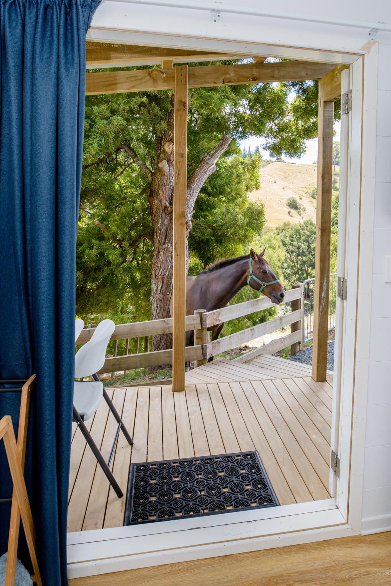 Private Cabin Close To The City Centre Whangarei Exteriör bild