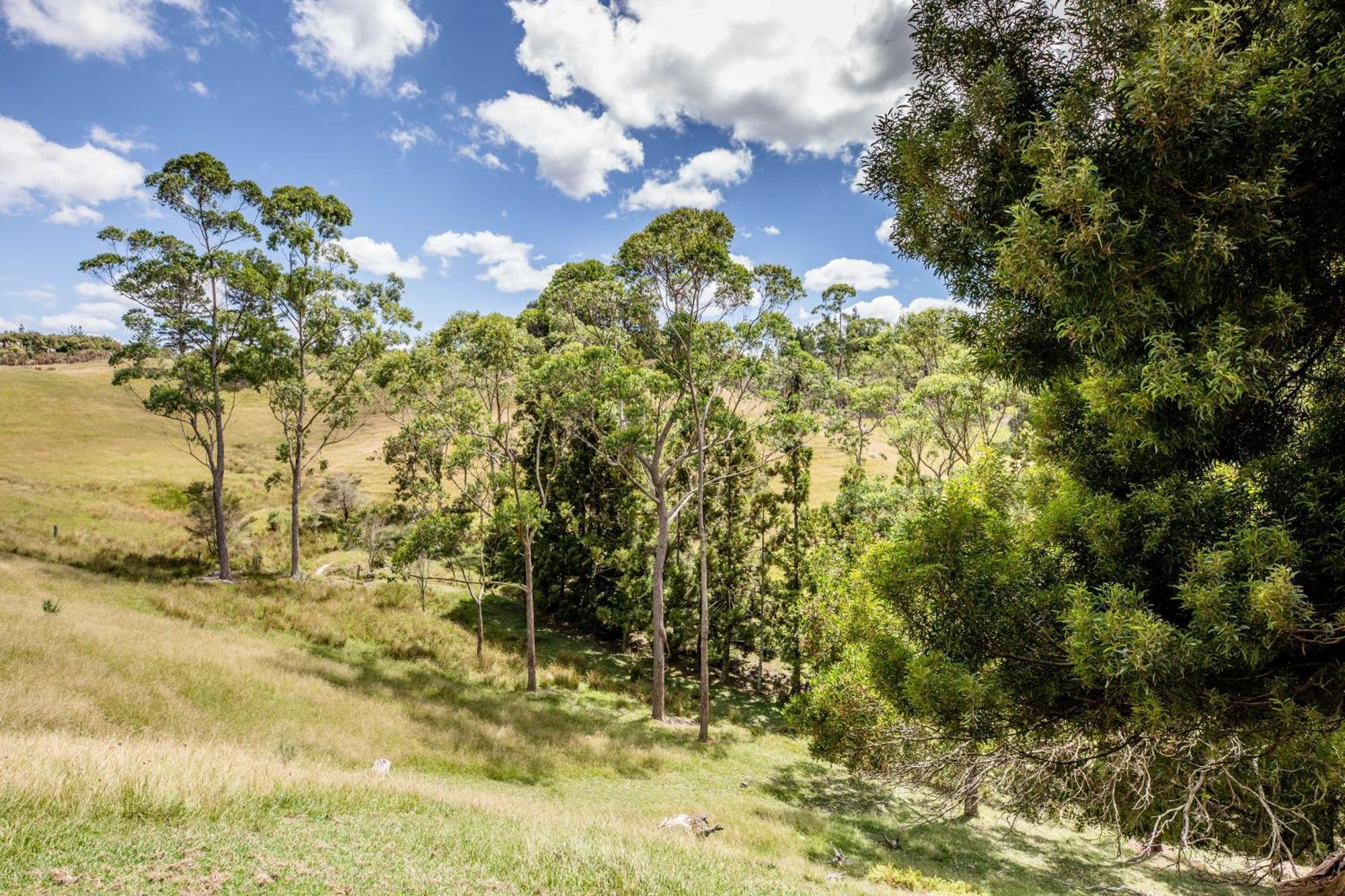 Private Cabin Close To The City Centre Whangarei Exteriör bild