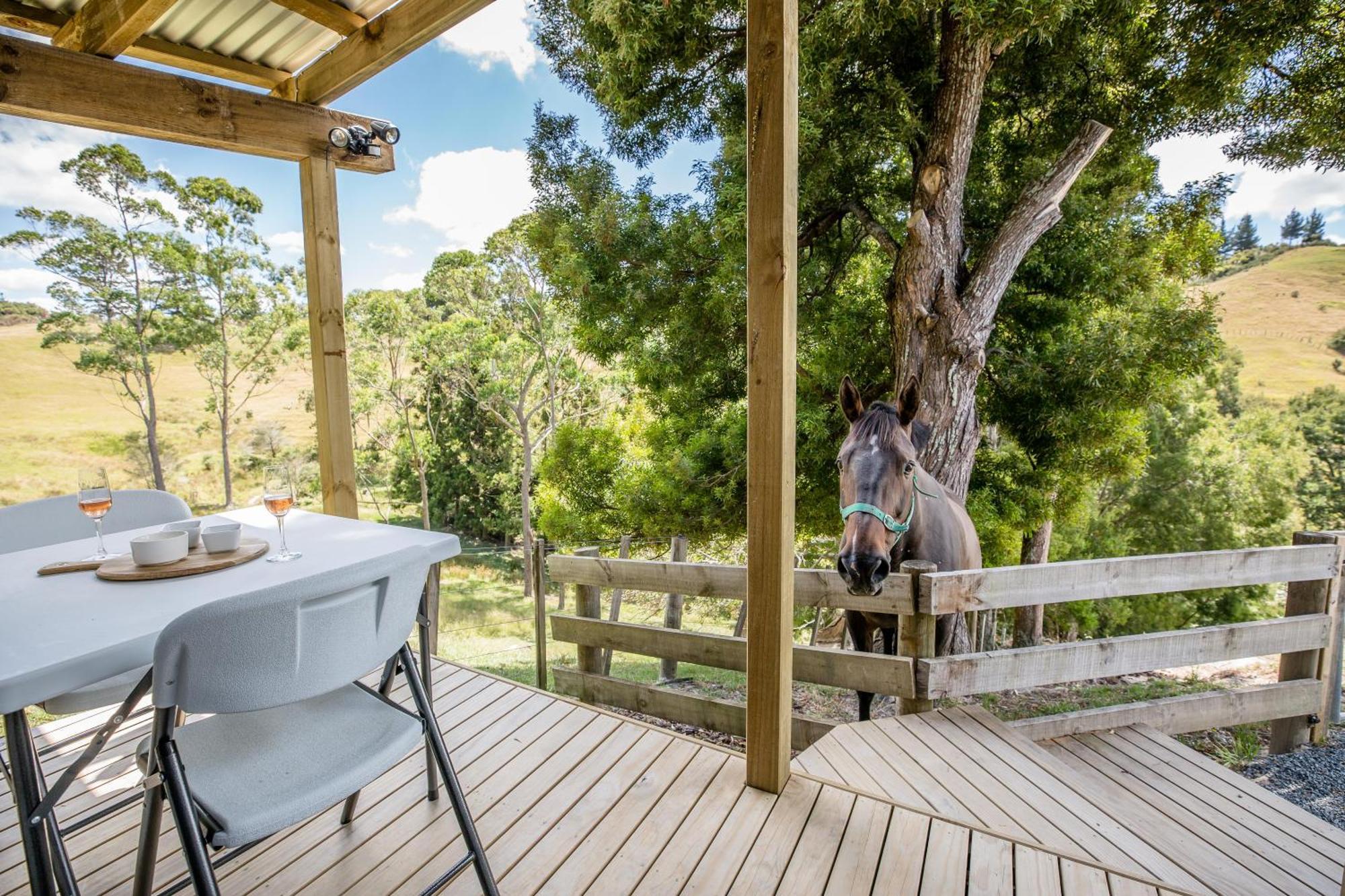 Private Cabin Close To The City Centre Whangarei Exteriör bild